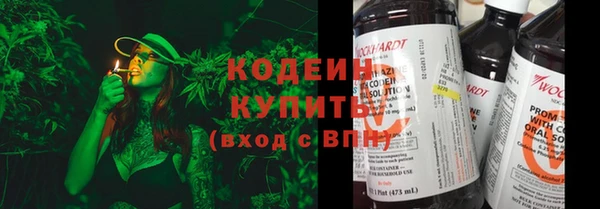 дживик Белокуриха