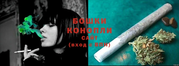 дживик Белокуриха