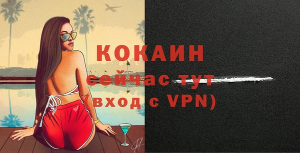 дживик Белокуриха