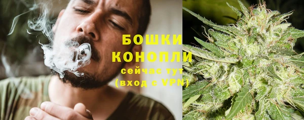 дживик Белокуриха
