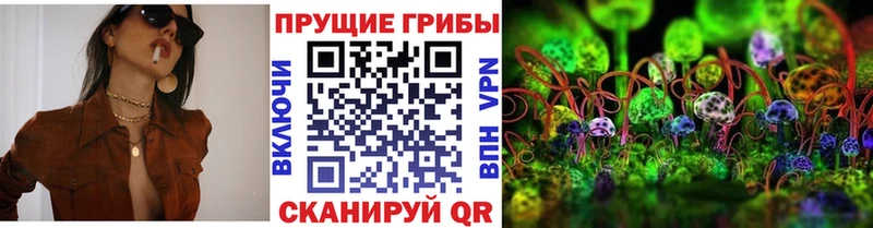 Галлюциногенные грибы Cubensis  где продают наркотики  Гороховец 